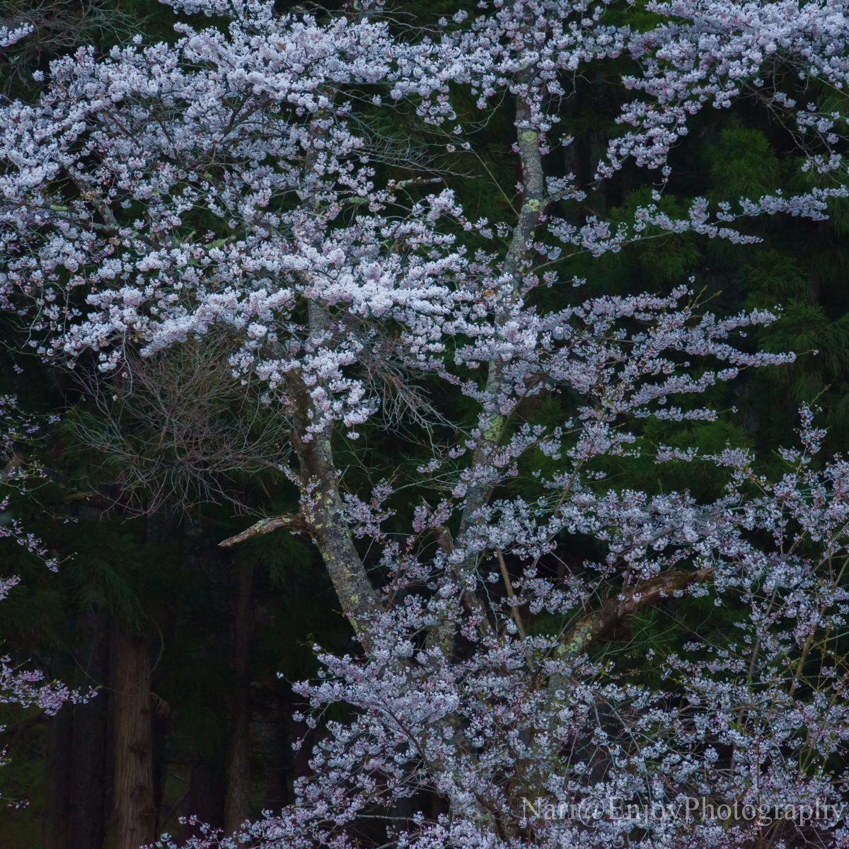 適正露出