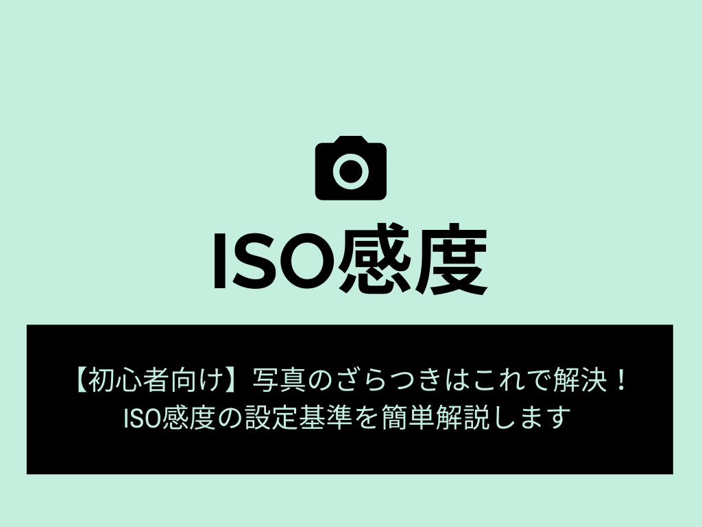 カメラ 設定 販売 iso